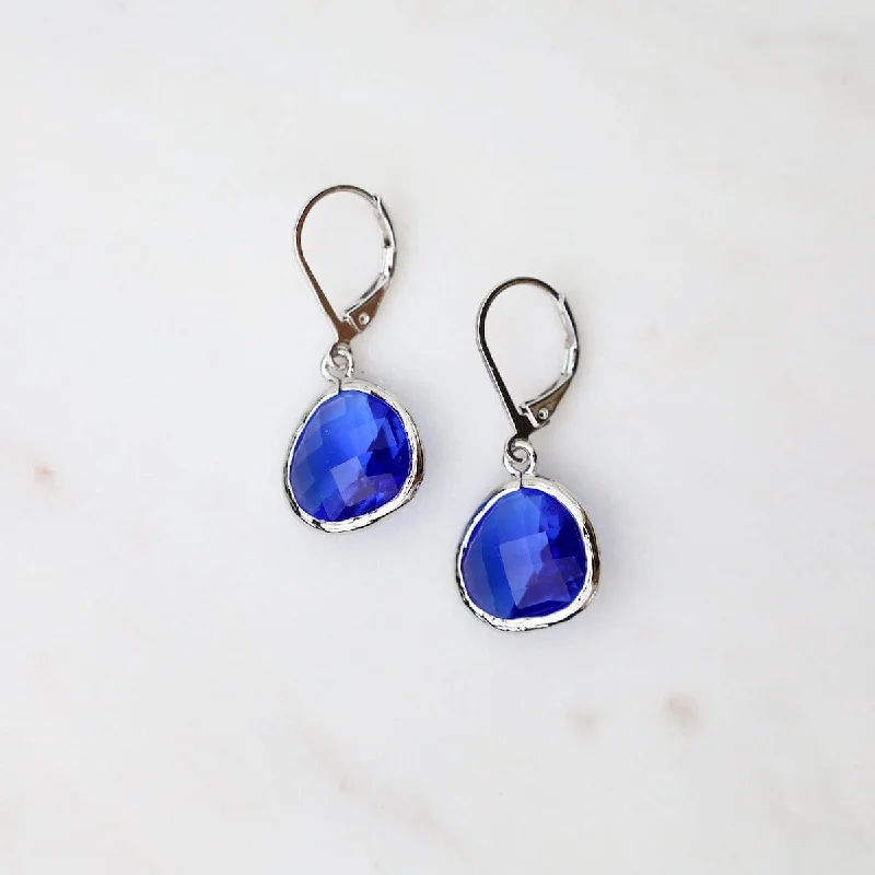 Sterling Silver Cobalt Crystal Lever Back Earrings