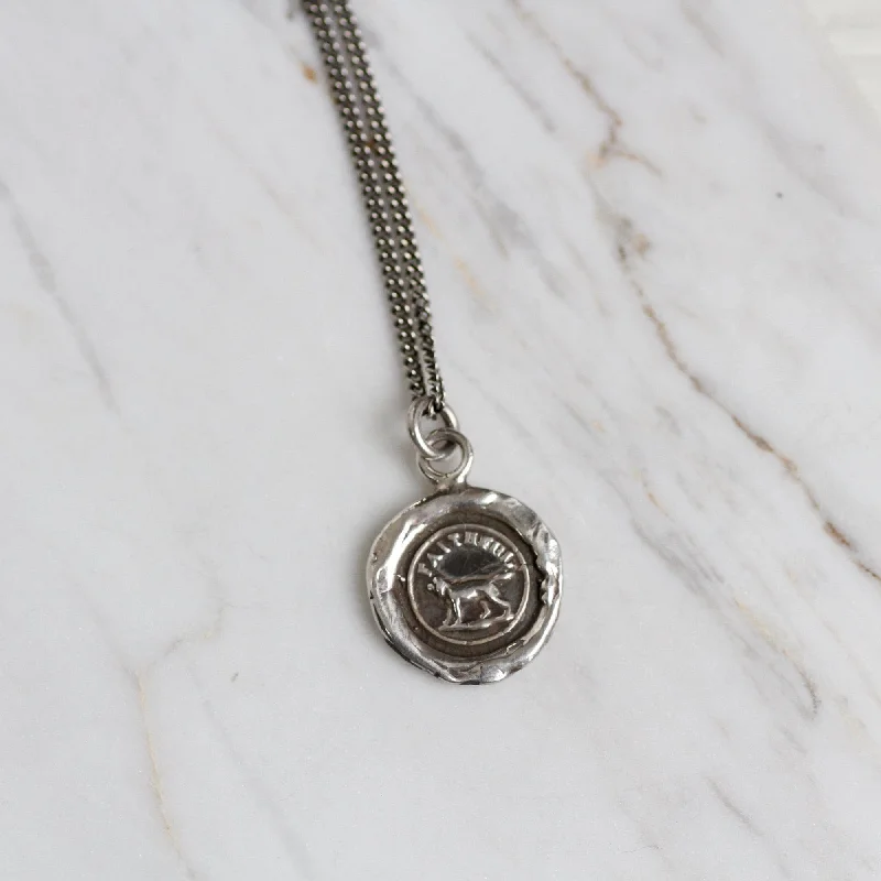 Faithful Friend Talisman Necklace